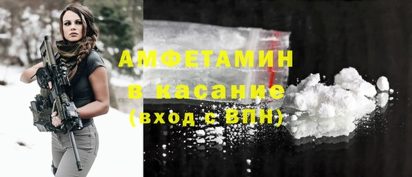 индика Арсеньев