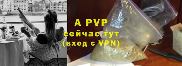 индика Арсеньев