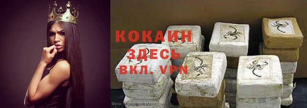 индика Арсеньев