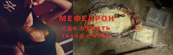 индика Арсеньев