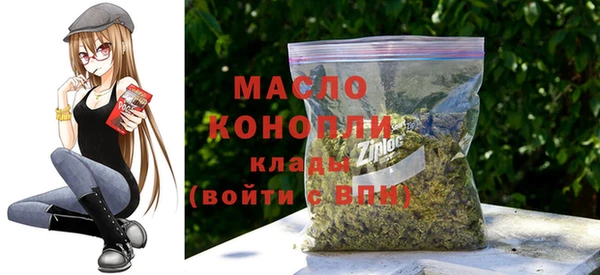 индика Арсеньев