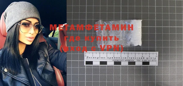 индика Арсеньев