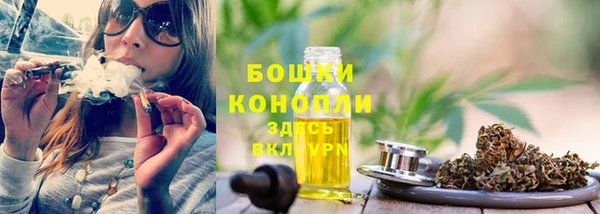индика Арсеньев