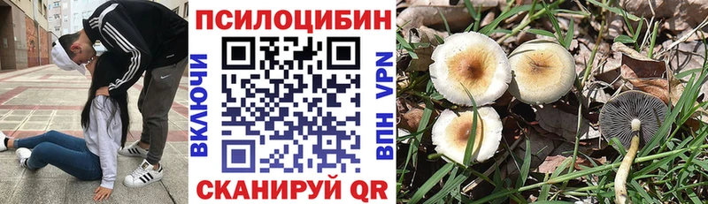 Псилоцибиновые грибы прущие грибы Зарайск